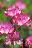 02-03