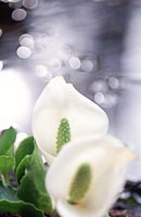 02-07