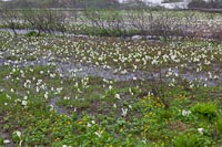 03-05