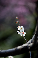 04-01