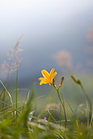 04-08