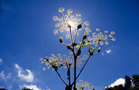 04-09