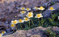 04-10