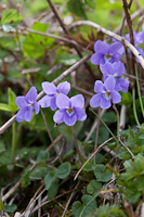 09