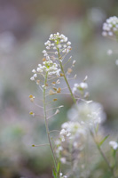 07-09