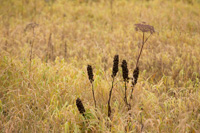 2013-110