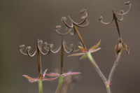 2013-118