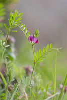 07-31