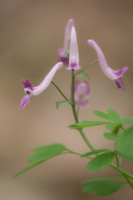 07-45