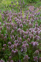 07-64
