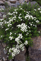 07-92
