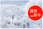 2016新年