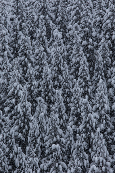 001-3