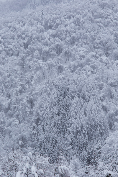 001-4