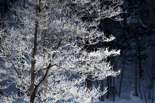 winter013-2