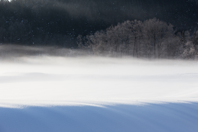 winter014-2