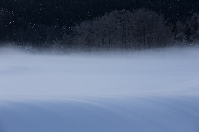 winter014-1