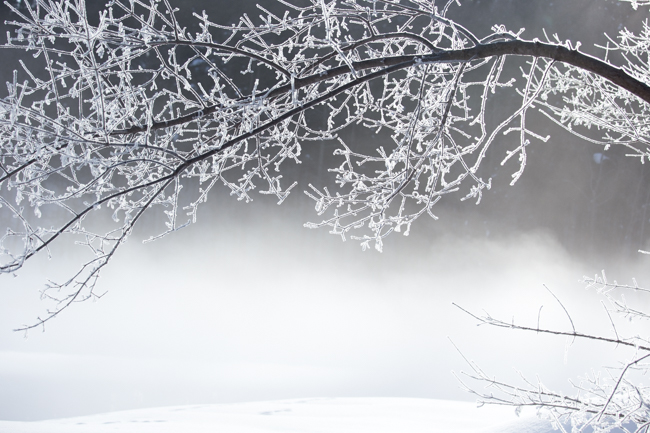 winter015-3
