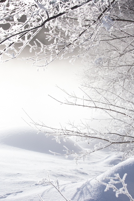winter015-1