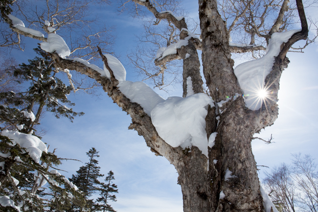 winter016-2