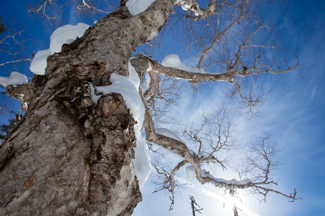 winter016-1